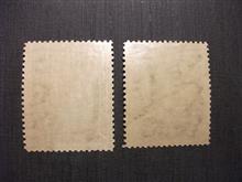 سد