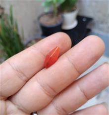 مهره