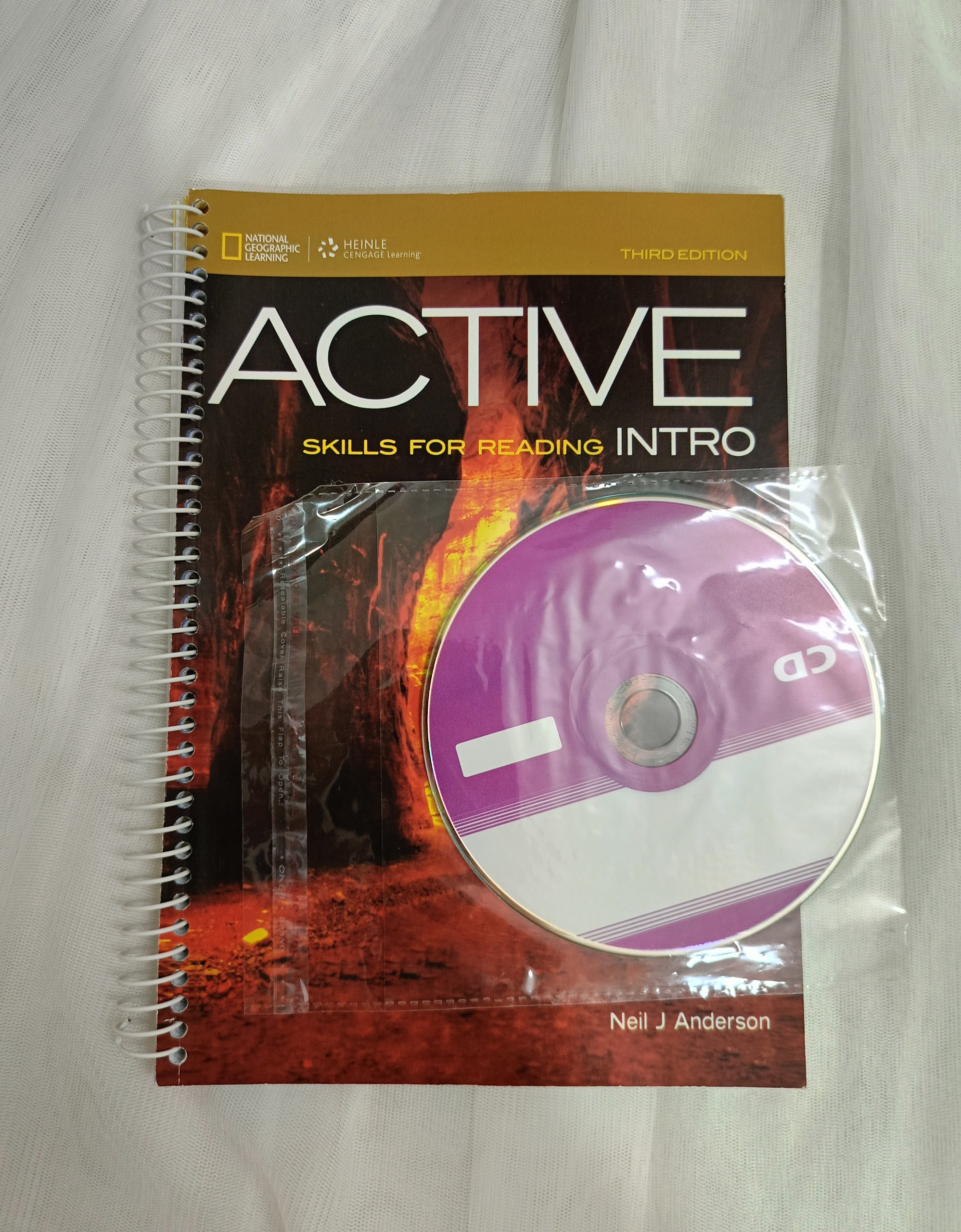 Active Skills For Reading Intro