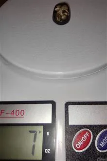 عقیق