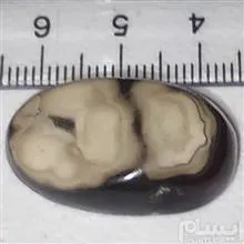 عقیق