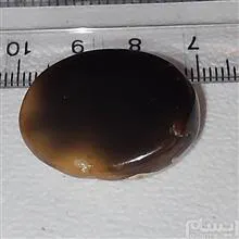 عقیق