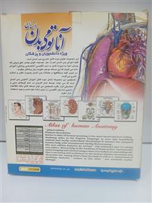 آناتومی