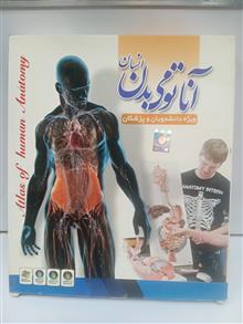 آناتومی