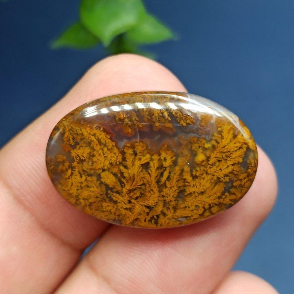 شجر پاییزی مدالی