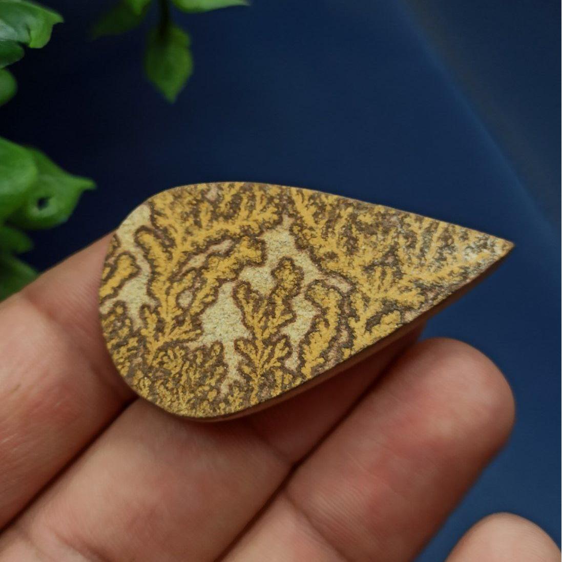 فسیل دندریت طبیعی