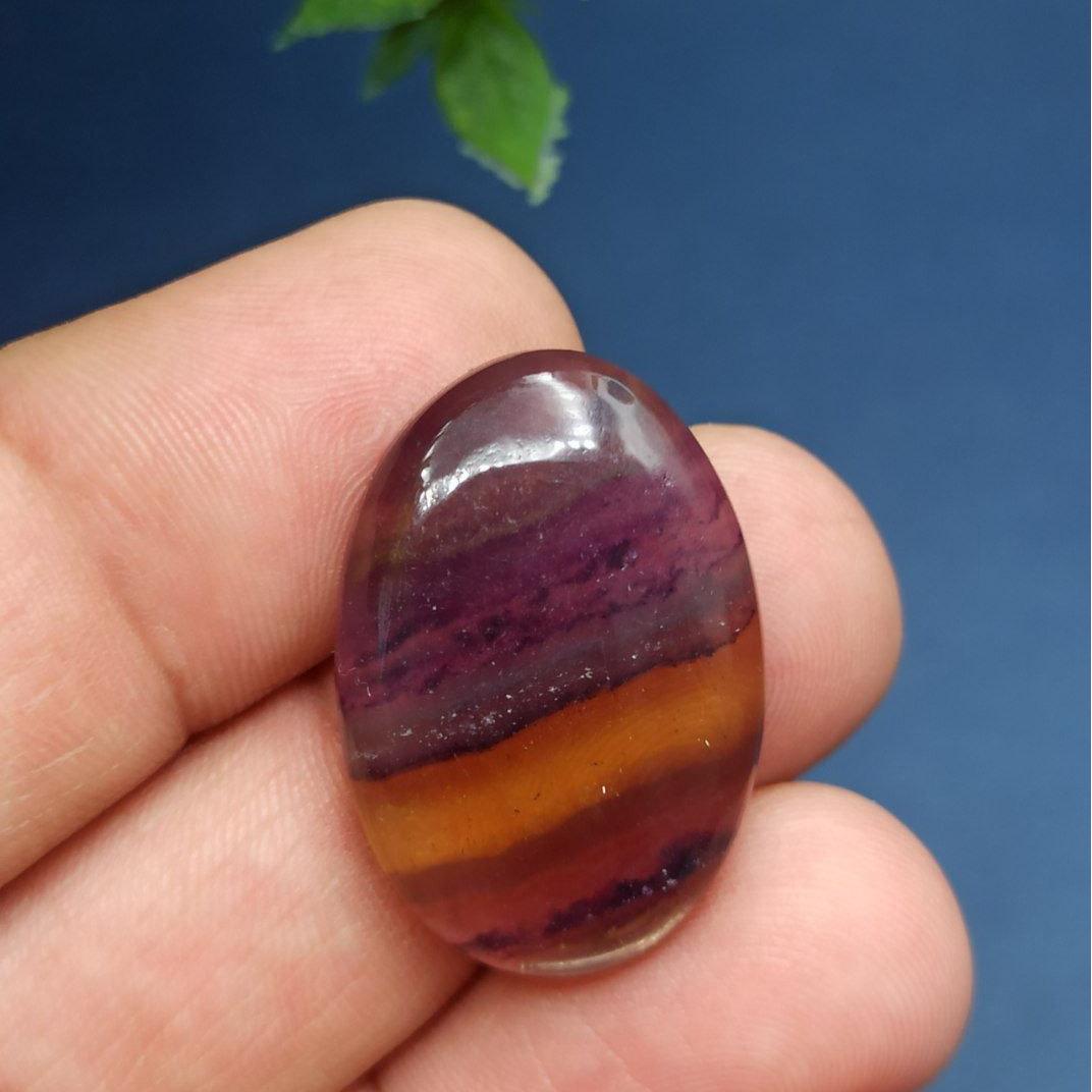 فلورین رنگین کمانی مدالی طبیعی