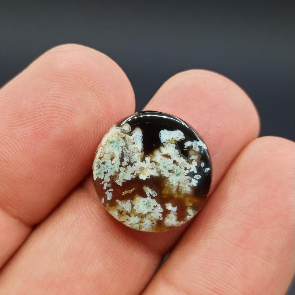 شجر بهاری طبیعی