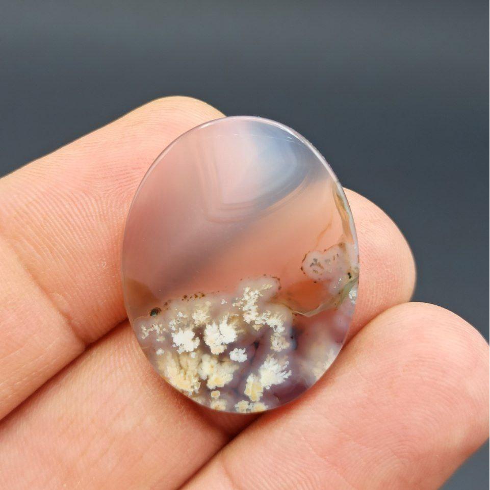 شجر بهاری مدالی