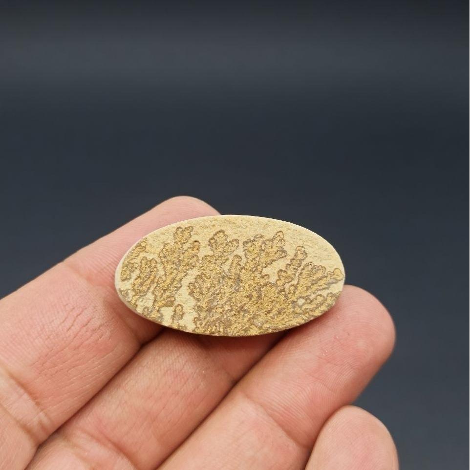 فسیل دندریت طبیعی