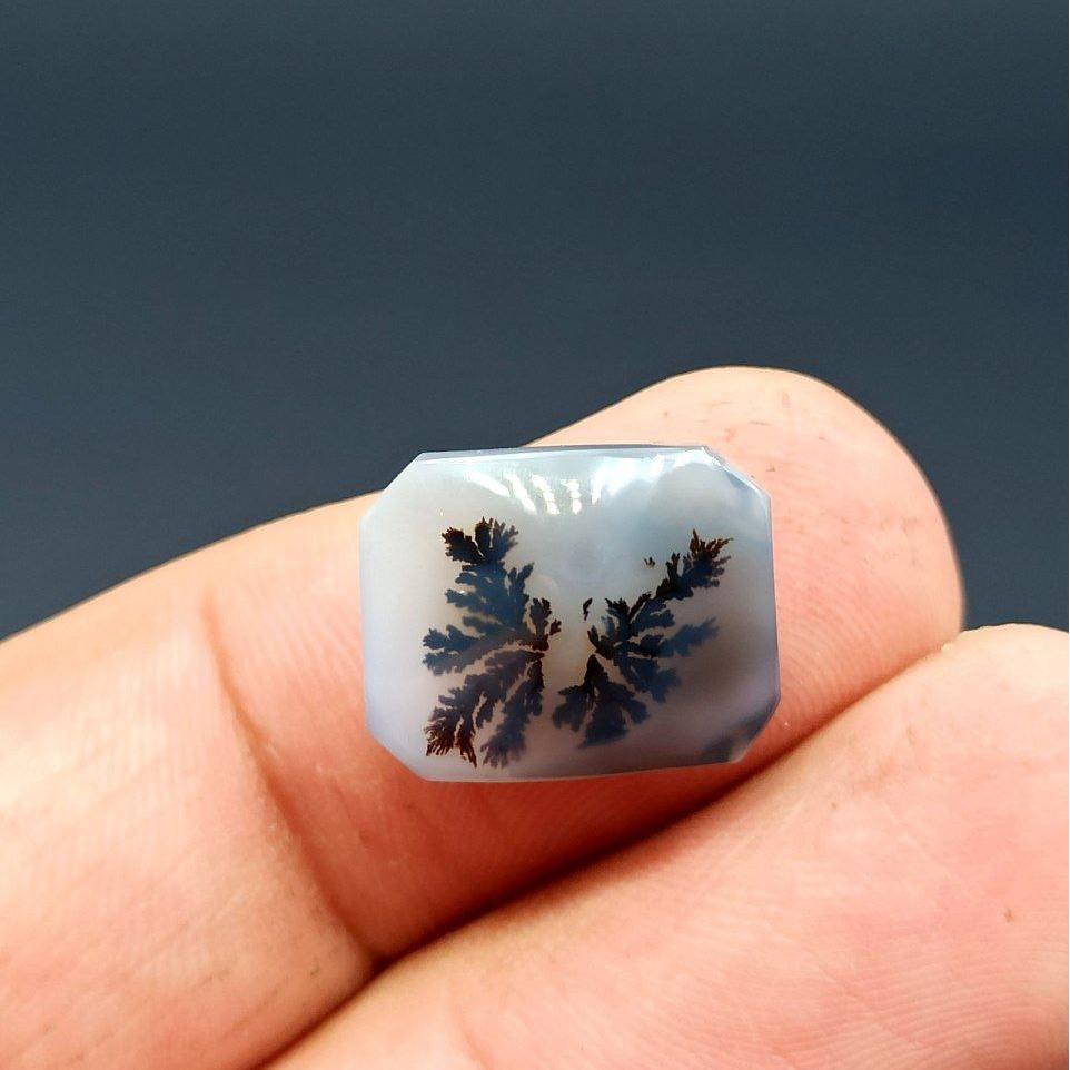 نگین شجر قائن