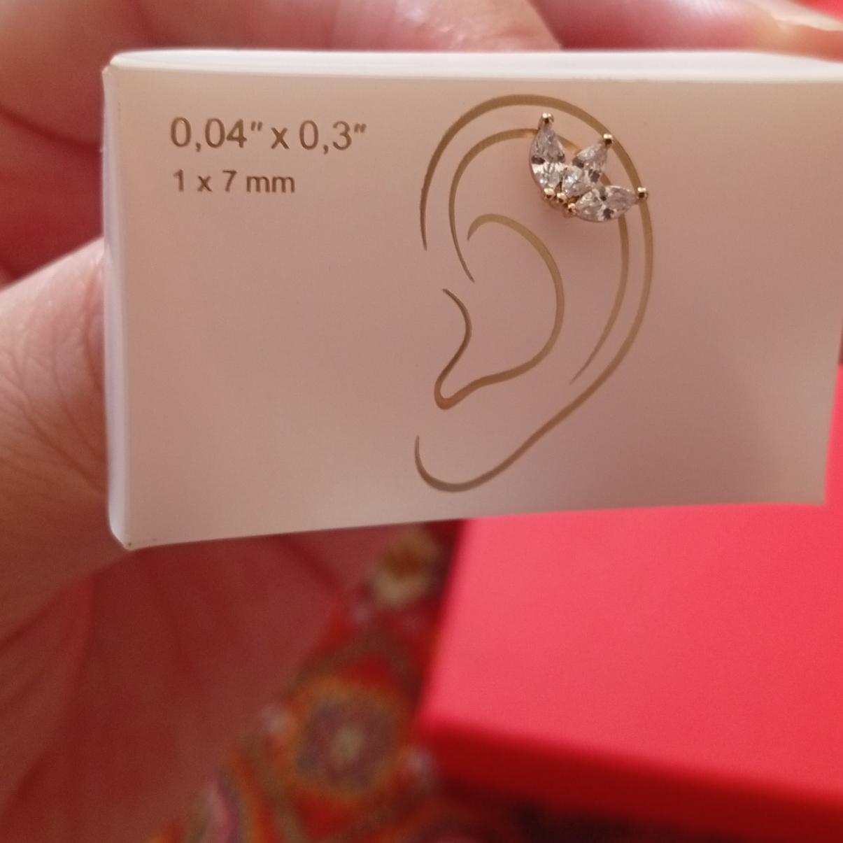 پیرسینگ گوش بسیار زیبا ابطلا