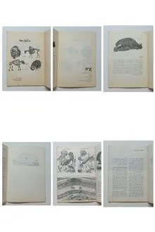 سنگواره