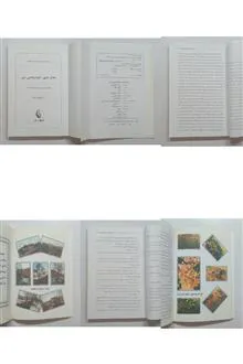 ماجرای