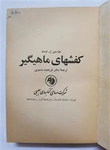 کفشهای