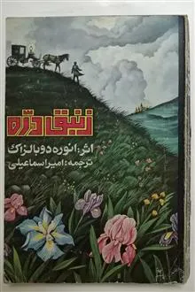 زنبق