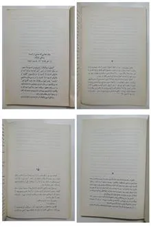 زنبق