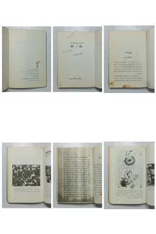 پیدایش