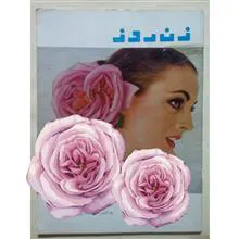 مجله