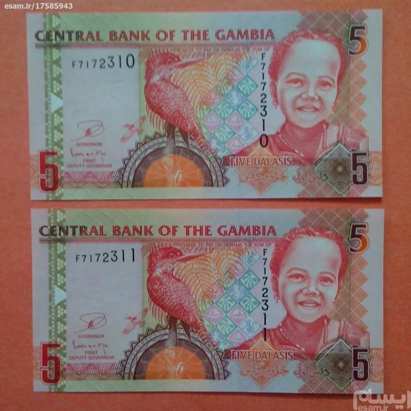 جفت اسکناس بانکی 5 دالاسی گامبیا 2009