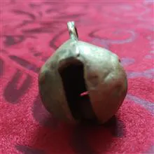 زنگوله