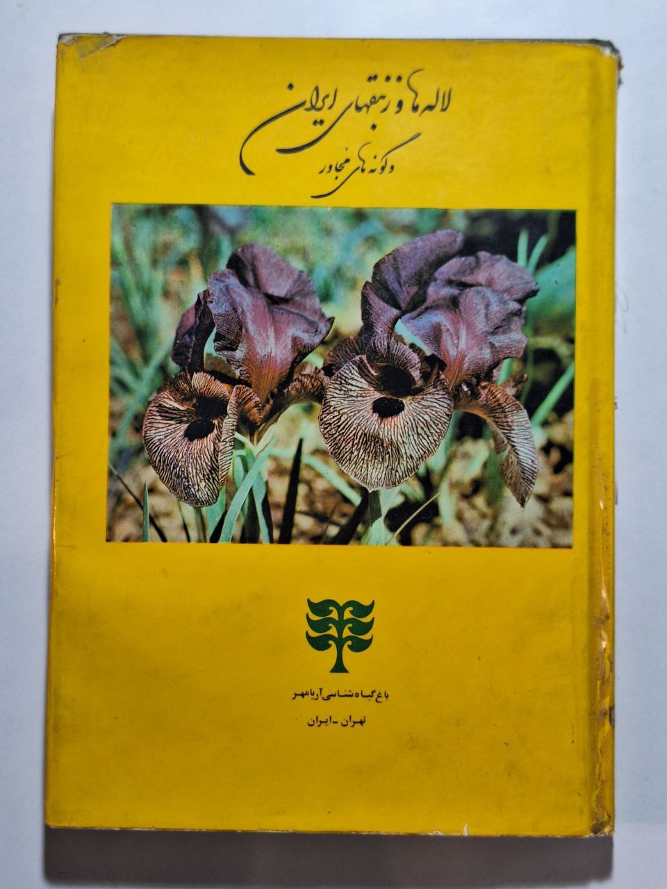لالهها و زنبقهای ایران و گونههای مجاور
