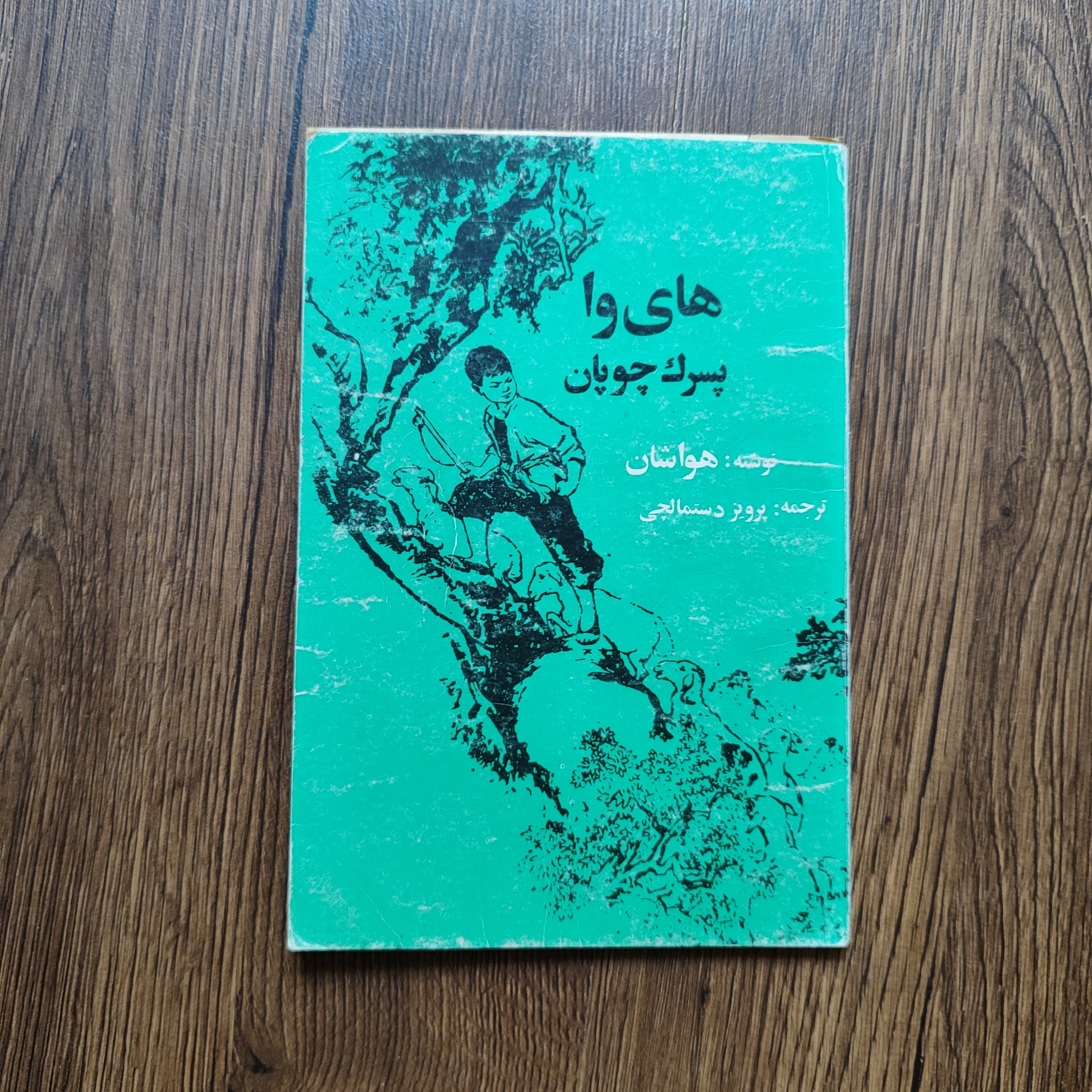 رمان های وا پسرک چوپان _ انتشارات شبگیر