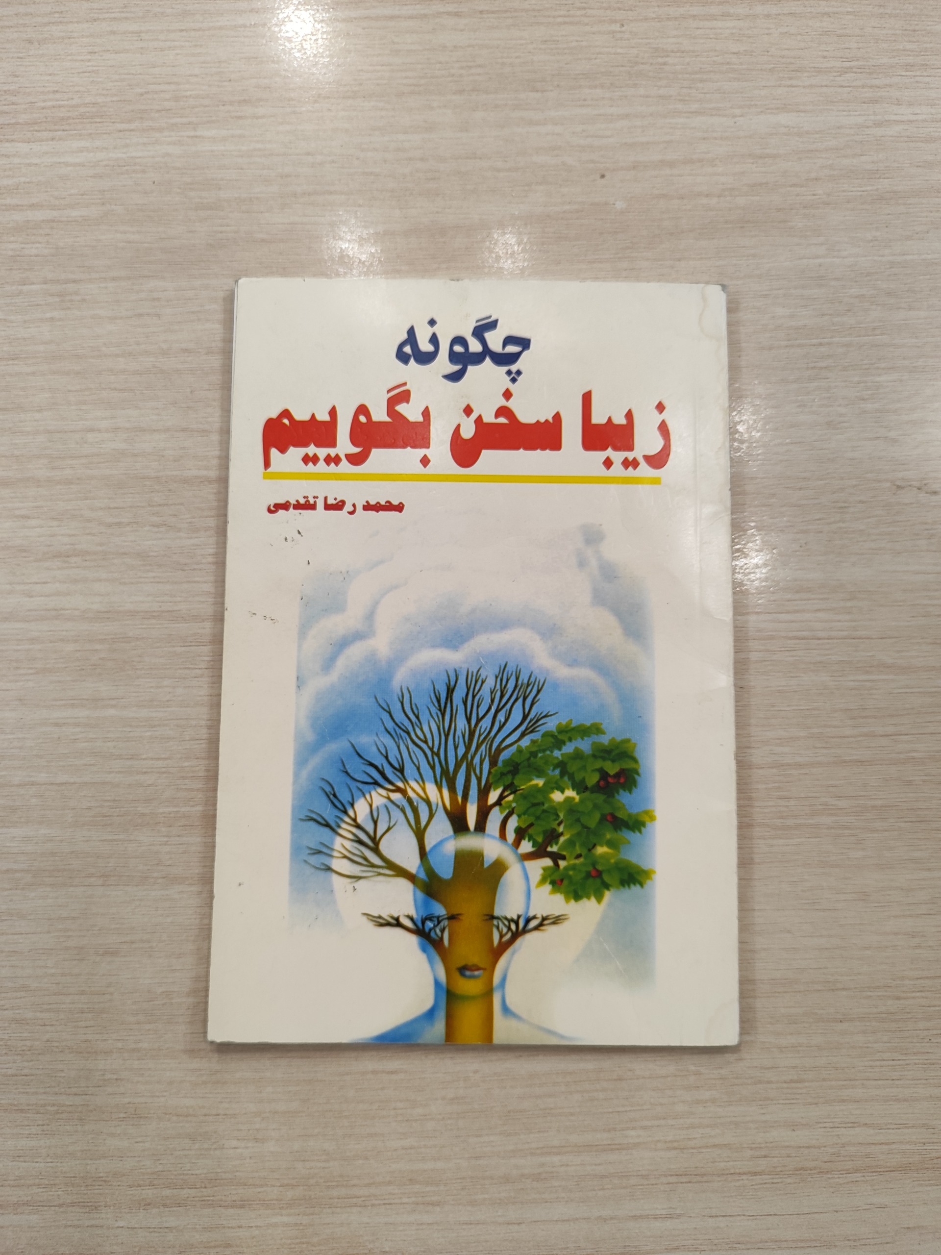 چگونه زیبا سخن بگوییم _ محمدرضا تقدمی