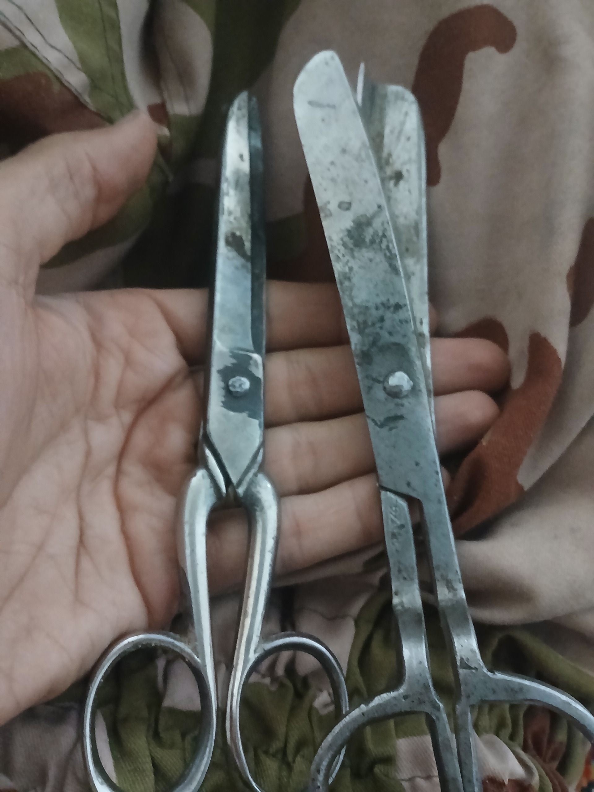 قیچی قدیمی کلکسیونی