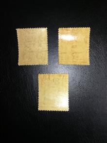 روز