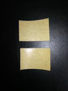 دیدار