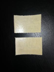 دیدار