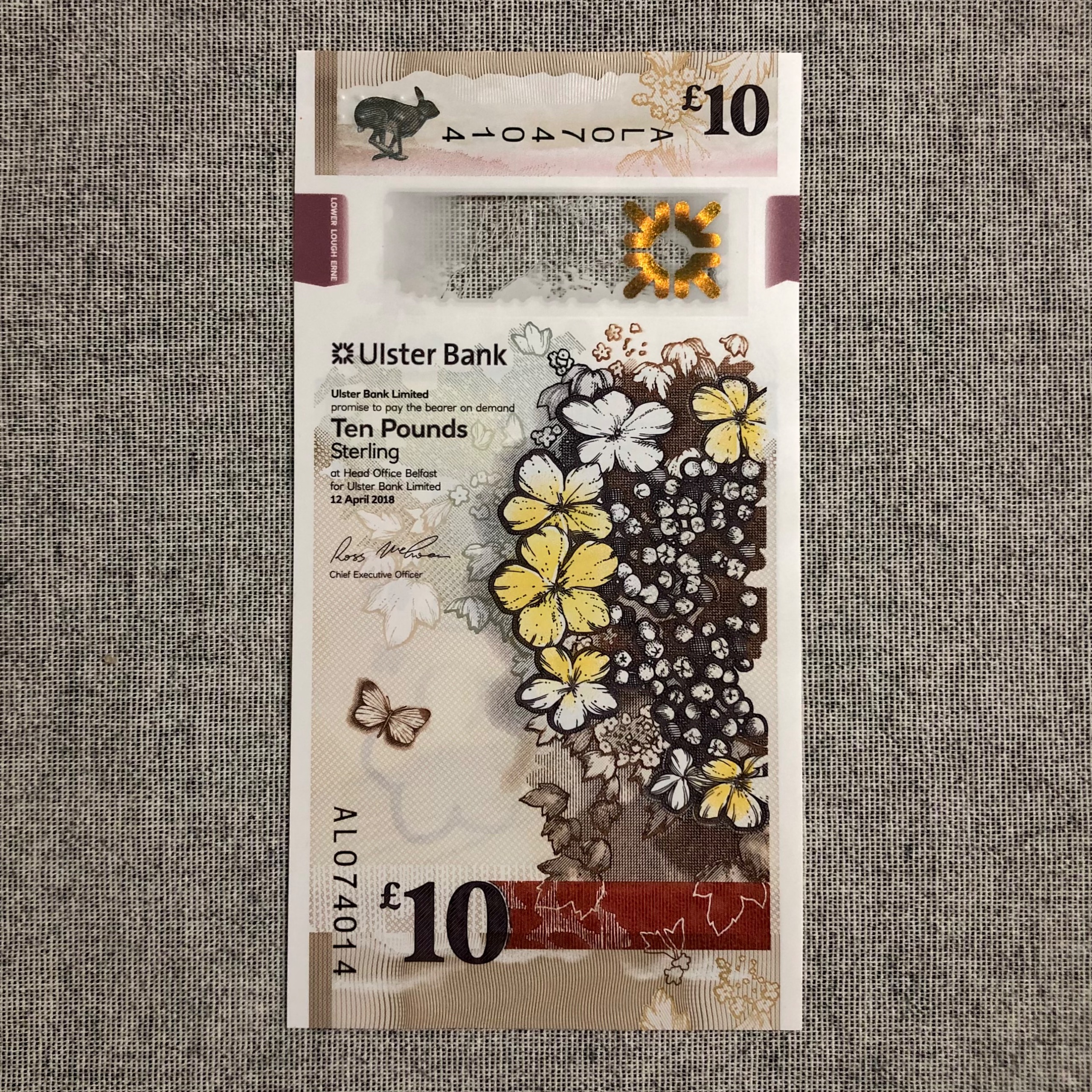 اسکناس تک بانکی 10 پوند ایرلند شماره متفاوت