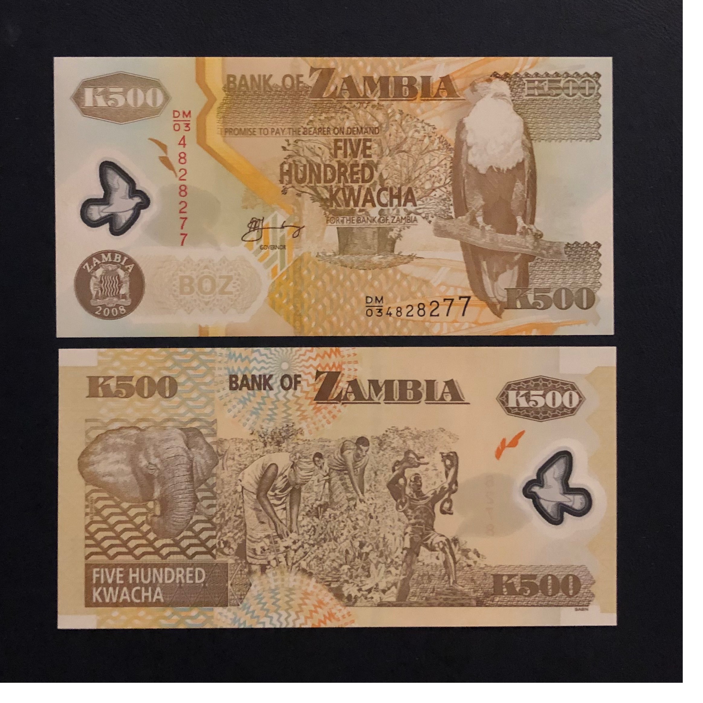 اسکناس تک بانکی 500 کواچا زامبیا شماره متفاوت