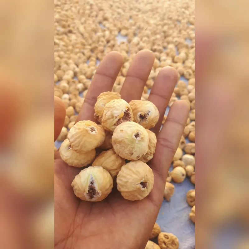 انجیر گوشتی سایز درشت-کاملا نرم و تازه -900 گرمی