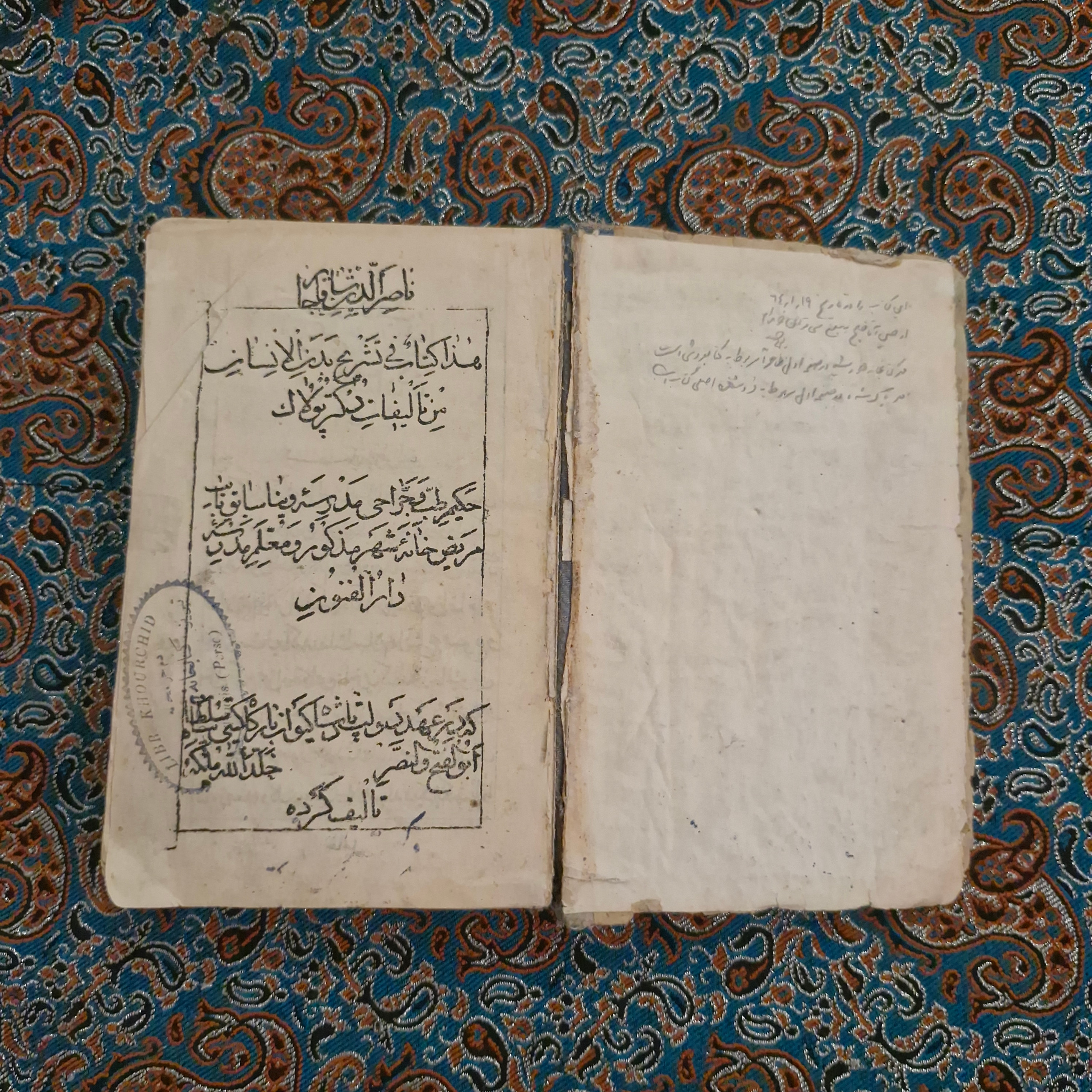 تشریح بدن انسان قاجاری پزشکی طب سنتی