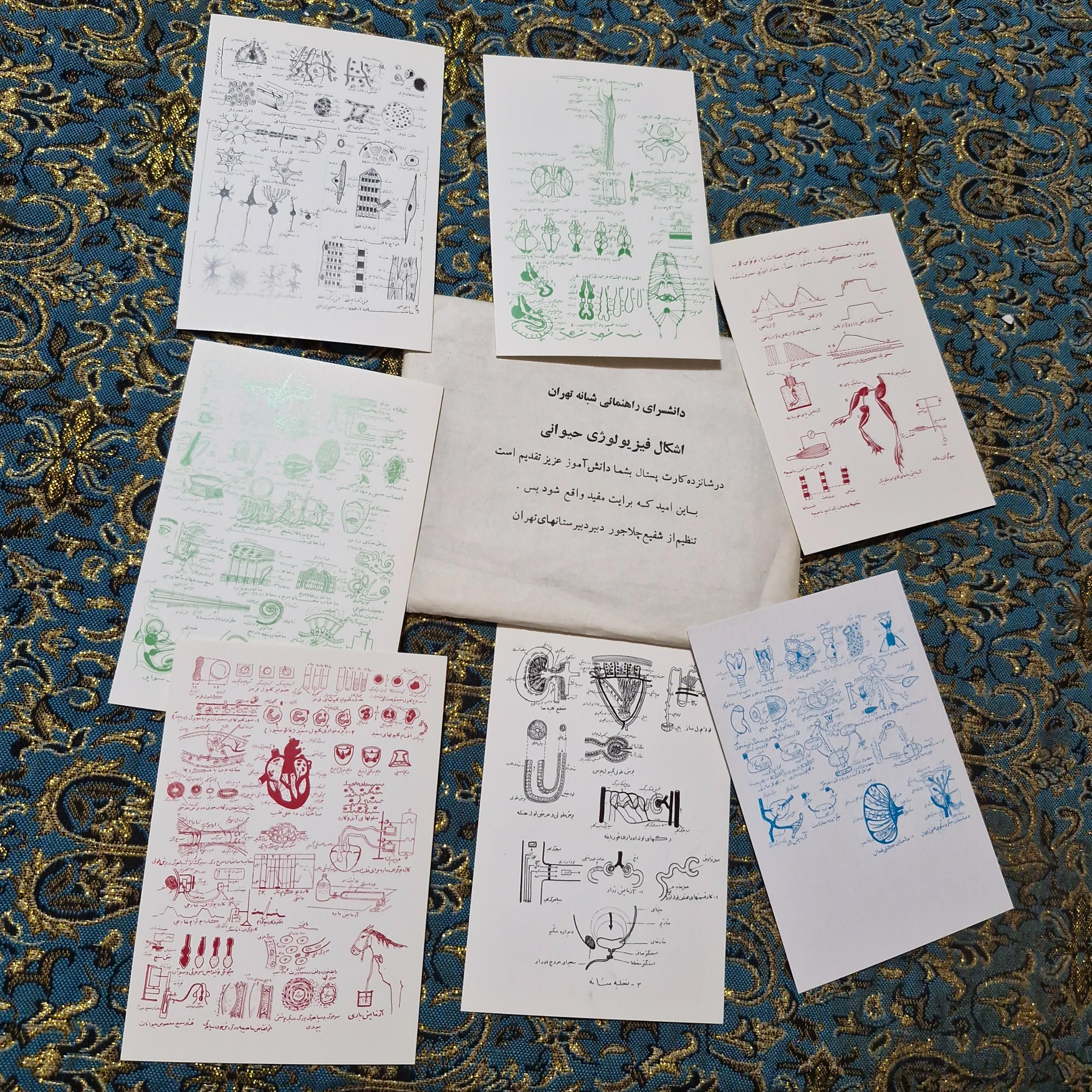 کارت فیزیولوژی حیوانی چاپ قبل انقلاب