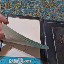 سربرگ