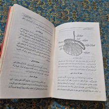 دانستنیهای