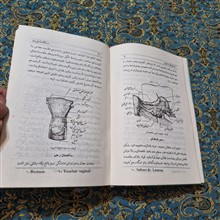 دانستنیهای