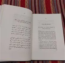 طوطی