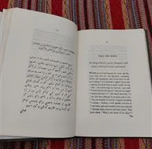 طوطی