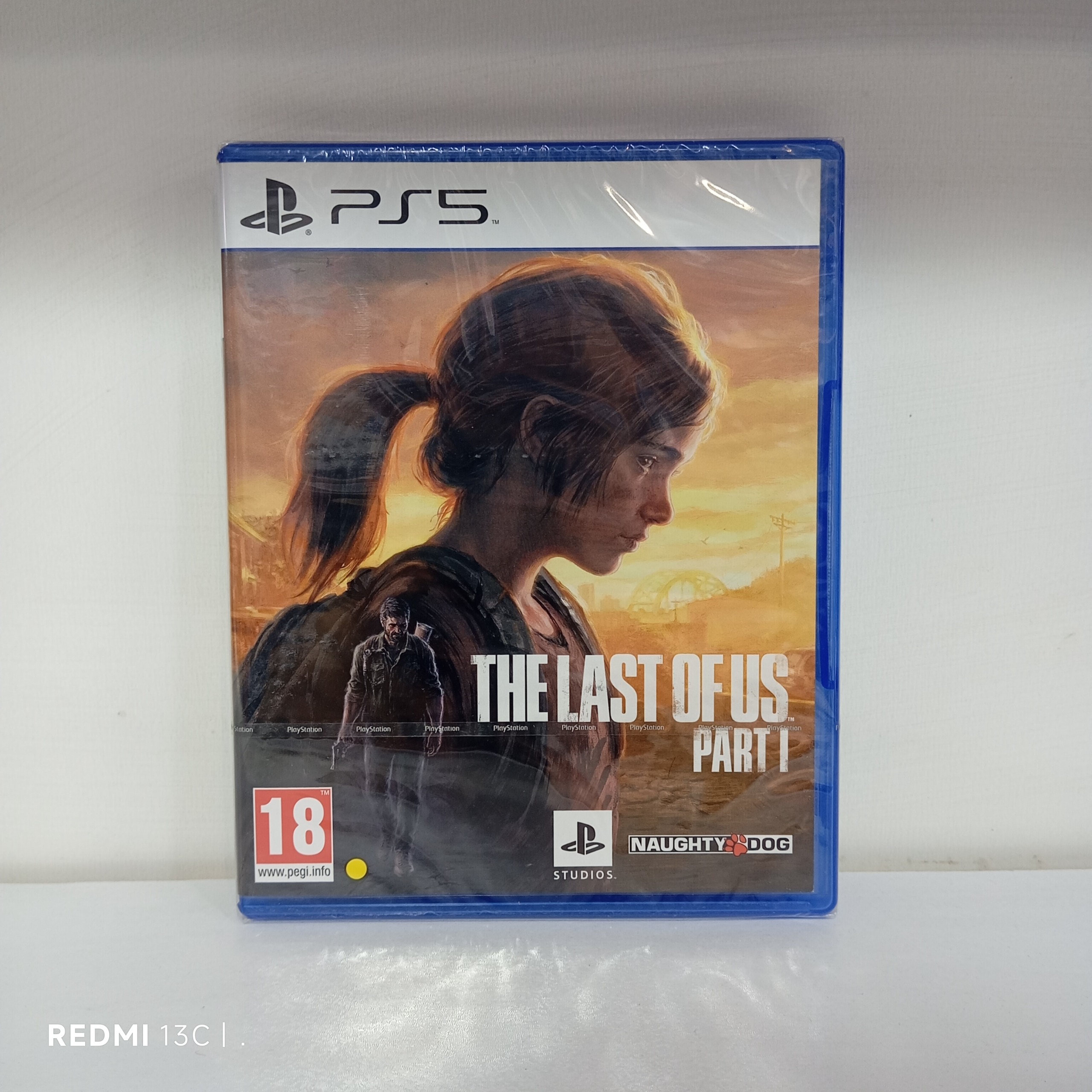 The Last of Us Remake (آکبند)