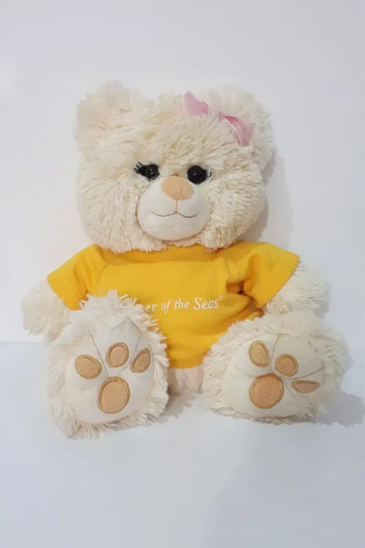 عروسک خرسی تدی