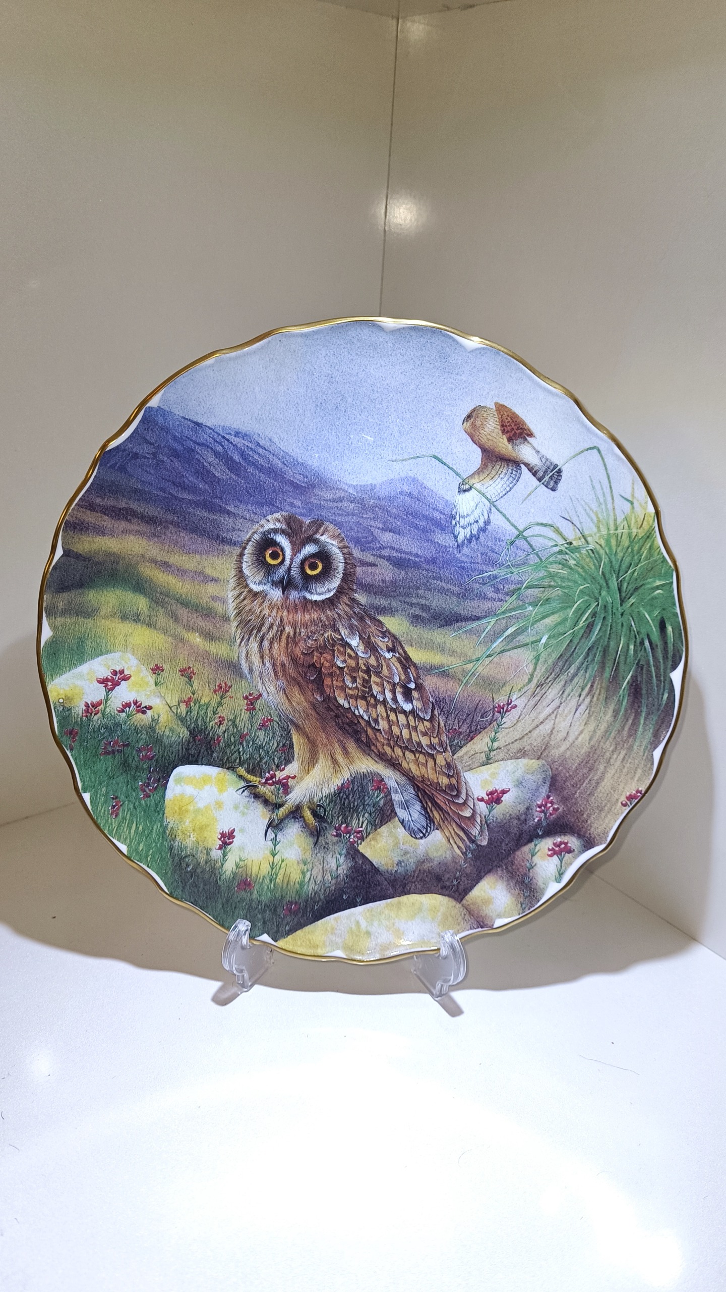 دیوارکوب آنتیک و قدیمی اروپایی