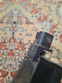 کوئل