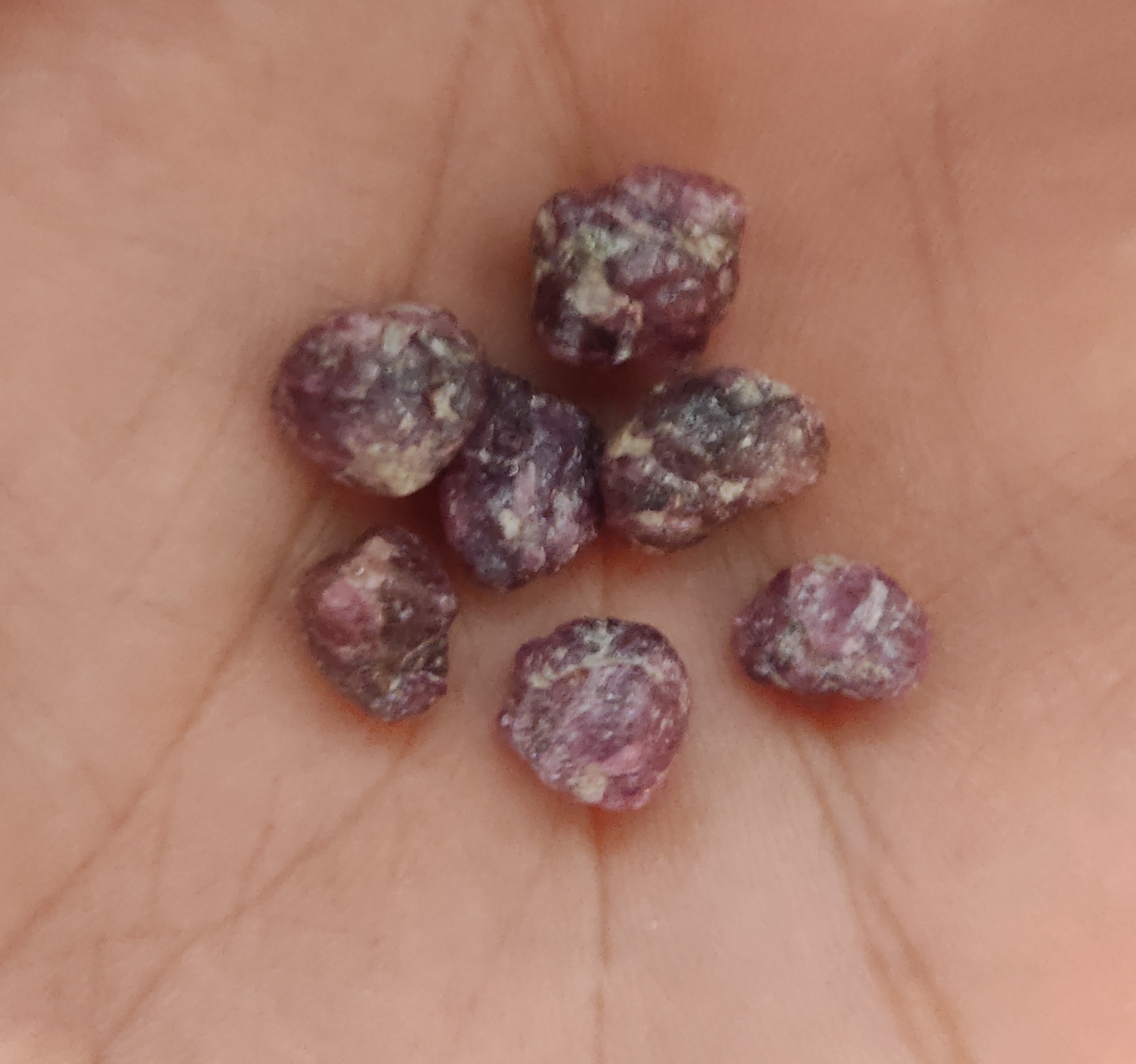 یاقوت سرخ راف معدنی افغانستان مغز سنگ