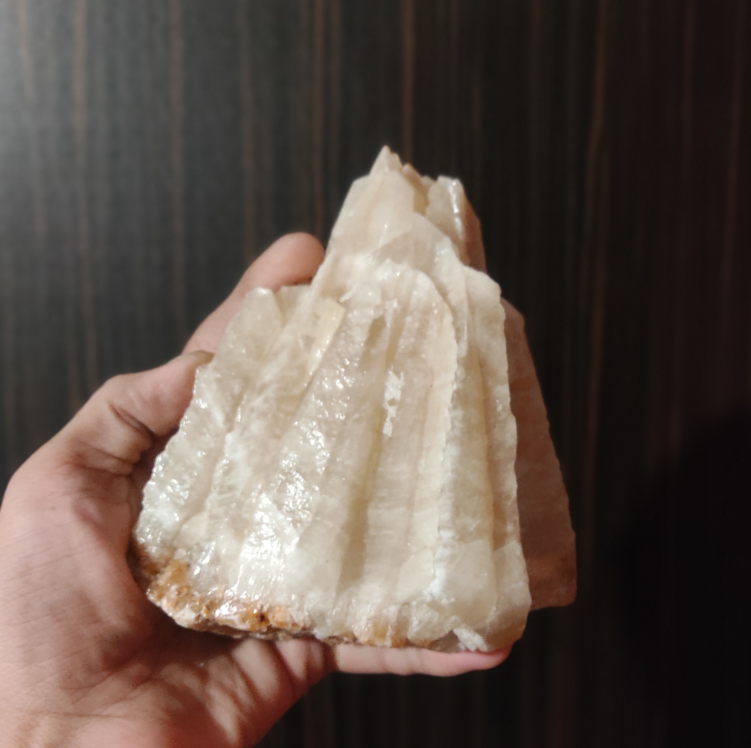 سنگ راف کلیست عسلی درشت بکر (نورازش عبور میکند)