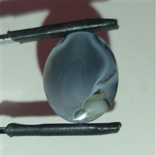 نگین