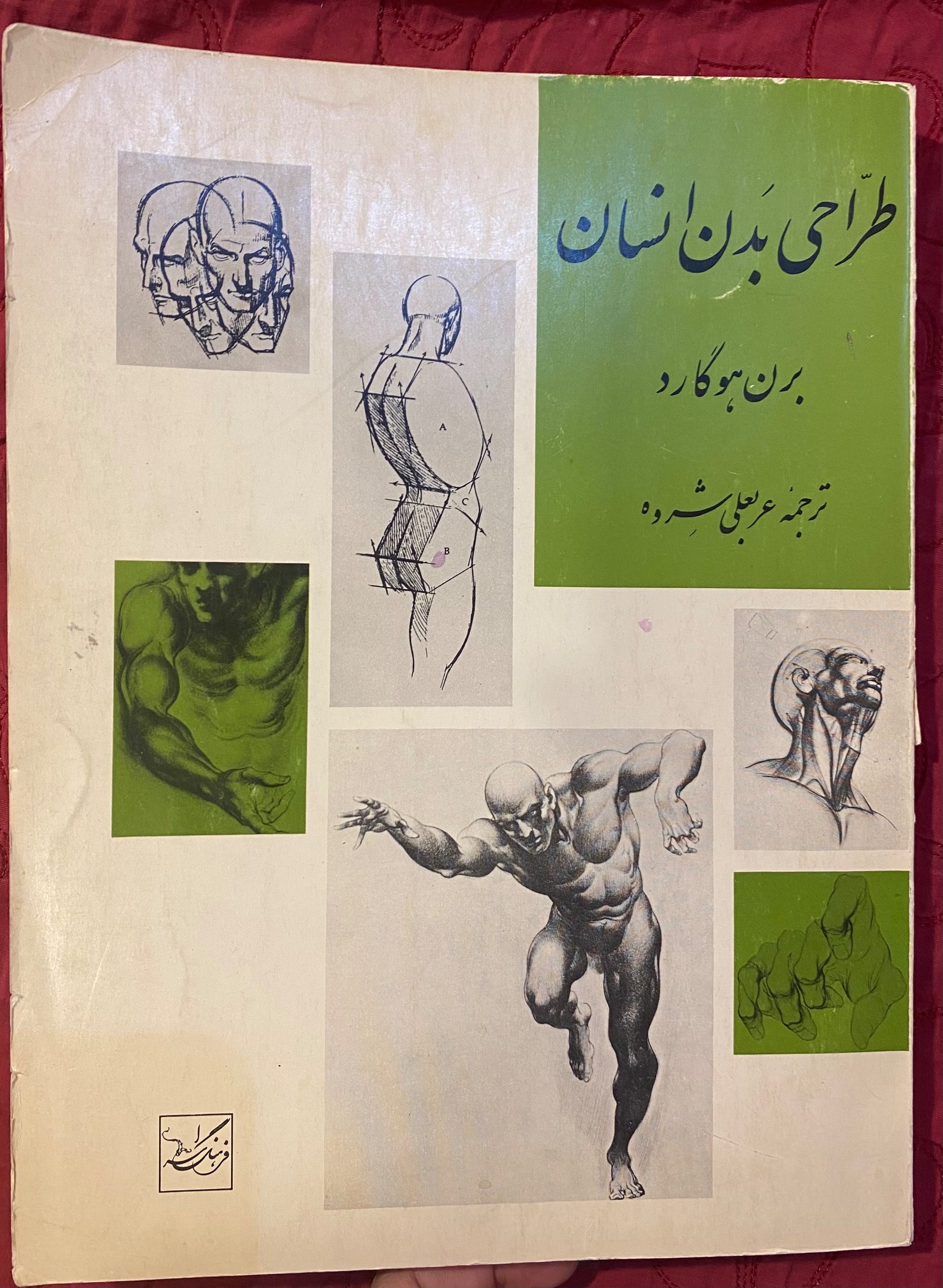 طراحی بدن انسان
